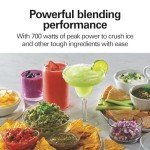 Hamilton Beach Power Elite Blender for Shakes and Smoothies with 3-Cup Vegetable Chopper Mini Food Processor, 40oz Glass Jar, 12 Functions for Puree, Ice Crush, Black and Stainless Steel (58149)