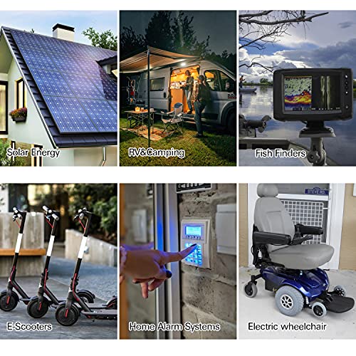 WEIZE 12V 35AH Deep Cycle Batteries for Scooters