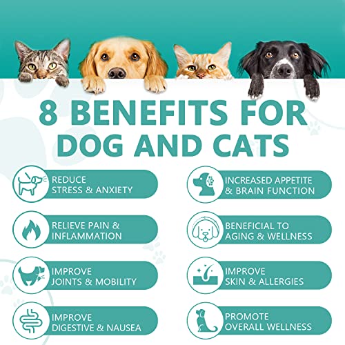 2-Pack CBD Oil for Dogs