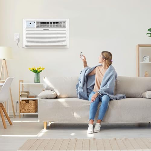 14,000 BTU Through-The-Wall AC with Heating & Remote