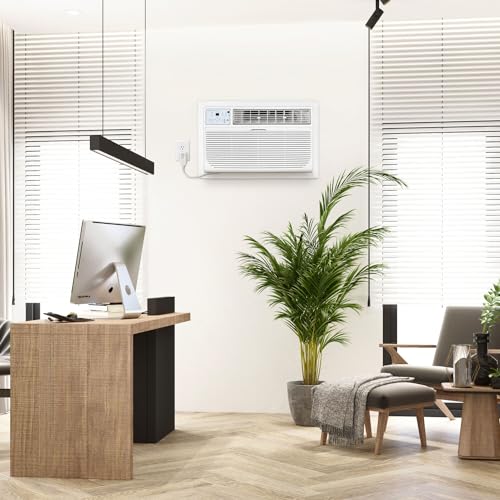14,000 BTU Through-The-Wall AC with Heating & Remote