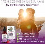 Organic Elderberry Syrup for Immune Support