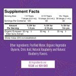 Organic Elderberry Syrup for Immune Support