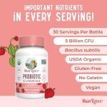 Organic Probiotic Gummies for Digestive Health 60ct