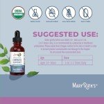 Organic Lymphatic Support Drops with Echinacea & Elderberry