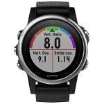 Garmin fēnix 5s, Premium and Rugged Smaller-Sized Multisport GPS Smartwatch, Silver/Black
