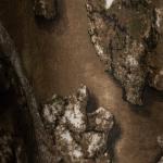 SCENTBLOCKER Scent Blocker Fused Cotton Lightweight Long-Sleeve Shirt, Camo Hunting Clothes (RT APX, XX-Large)