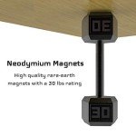 GMW Gun Magnet 2-Pack - 30 lbs Capacity