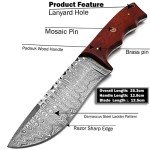 Custom Fixed Blade Damascus Knife with Leather Sheath