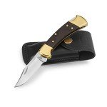 Buck 110 Folding Hunter Knife with Sheath