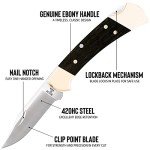 Buck 110 Folding Hunter Knife with Sheath