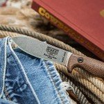 ESEE Knives Ashley Game Hunting Skinning Knife w/Sheath, Made in USA (Brown/S35V/Kydex Sheath)