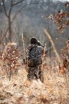 ALPS OutdoorZ Little Bear Hunting Pack, Mossy Oak Country DNA