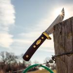 Old Timer 160OT Mountain Lion 9.3in High Carbon S.S. Full Tang Fixed Blade Knife with 5in Clip Point Blade, Black Sawcut Handle, and Leather Belt Sheath for Hunting, Camping, EDC, and Outdoors
