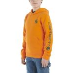 Carhartt Boys Long Sleeve Hooded Sweatshirt, Exotic Orange, Large (14/16)