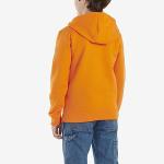 Carhartt Boys Long Sleeve Hooded Sweatshirt, Exotic Orange, Large (14/16)