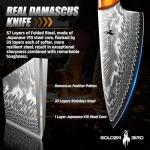 Golden Bird Damascus Steel Knife for Kitchen and Outdoor - Hand Forged Chef Camping Knife with Resin Handle & Wood Sheath, All Purpose Cooking Survival Hunting Knives,Gift for Men & Women