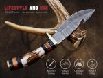 BLAYDZ Damascus Steel Deer Hunting Knife with Gut Hook Stag Horn Handle - 8" Overall Length Hunting Knife with Guk Hook blade with Leather Sheath (Gut Hook)