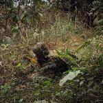 SCYLFEHDP Ghillie Suit, Gilly Suits for Men, Hunting Suit, 3D Leafy Camo, Hooded Cape, Camouflage, Bird Watching, Jungle Hunting, Halloween, Camping, Theme Decoration