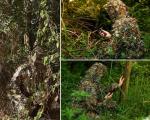 SCYLFEHDP Ghillie Suit, Gilly Suits for Men, Hunting Suit, 3D Leafy Camo, Hooded Cape, Camouflage, Bird Watching, Jungle Hunting, Halloween, Camping, Theme Decoration