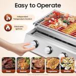 Portable Tabletop Propane Grill for Outdoor Cooking