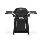 Weber Q 2800N Liquid Propane Grill with Stand