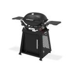 Weber Q 2800N Liquid Propane Grill with Stand