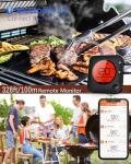 Wireless Bluetooth Meat Thermometer with Dual Probe