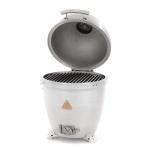 Blaze Cast Aluminum Kamado Grilling Experience