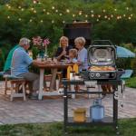 Ninja Woodfire Universal Portable Grill Stand with Wheels