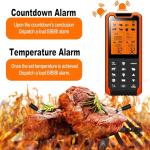 PRAVETTE Bluetooth Meat Thermometer with Dual Probes