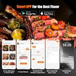 WiFi Wireless Meat Thermometer with 4 Probes