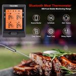500FT Bluetooth Meat Thermometer with Multiple Probes