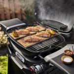 Weber Q 2800N Liquid Propane Grill with Stand