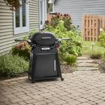 Weber Q 2800N Liquid Propane Grill with Stand