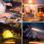 Black Grill Light for BBQ and Grilling Fun
