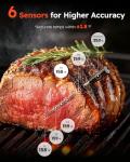 Bluetooth Meat Thermometer with Dual Probes & Smart Alerts
