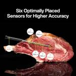 Wireless Bluetooth Meat Thermometer with WiFi Connectivity