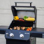 Monument Grills 2-Burner Stainless Steel Gas Grill