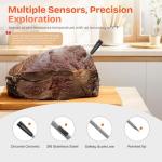 Wireless Bluetooth Meat Thermometer with Dual Probes