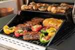 Megamaster 2-Burner Propane Barbecue Grill