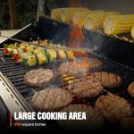Monument Grills 6-Burner Natural Gas BBQ Grill