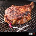 Weber iGrill Pro Meat Thermometer Probe