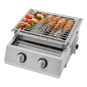 Portable 2-Burner Stainless Steel Gas Grill