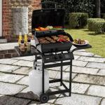 Feasto 2 Burner Propane Gas Grill with Warming Rack