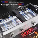 CIG Garden 2-Burner Propane Gas Grill Combo