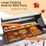 ideamaxx 6-Burner Propane Grill with Side Burner