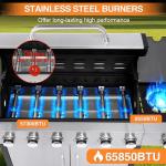 ideamaxx 6-Burner Propane Grill with Side Burner