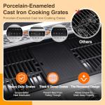 ideamaxx 6-Burner Propane Grill with Side Burner