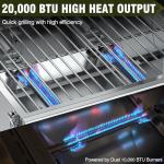 BESTFIRE Portable Gas Grill with Viewing Lid